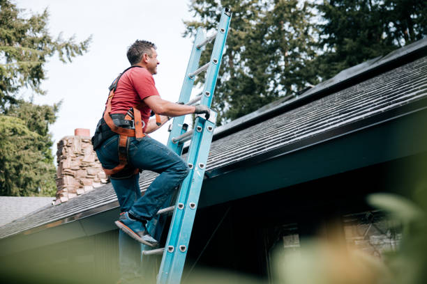 Sheet Metal Roofing in Tichigan, WI